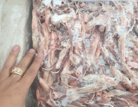 LƯỠI VỊT